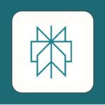 reports from a single prompt